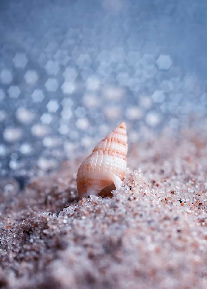 Beach,shells,blue sea