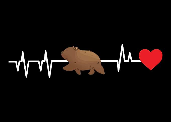 Wombats Wombat Australian