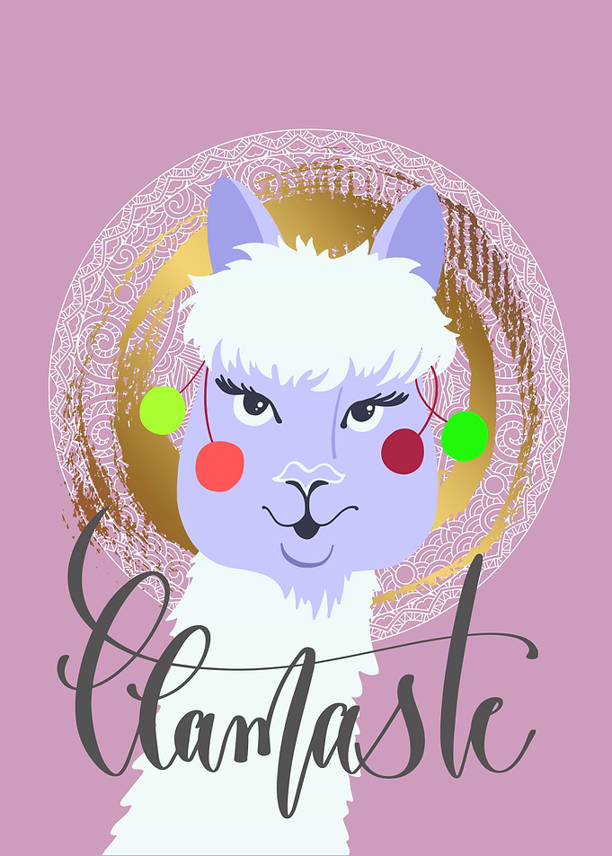 llamaste Funny