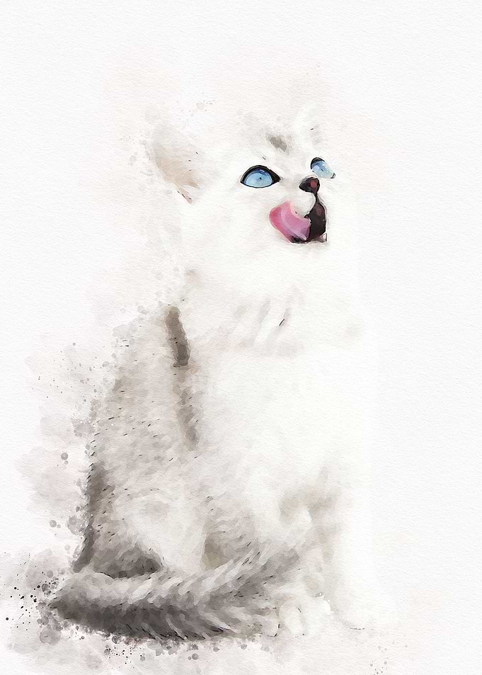 Cute Cat Watercolor