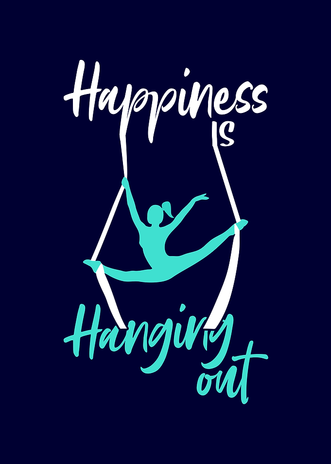 Aerial Silks Aerialist