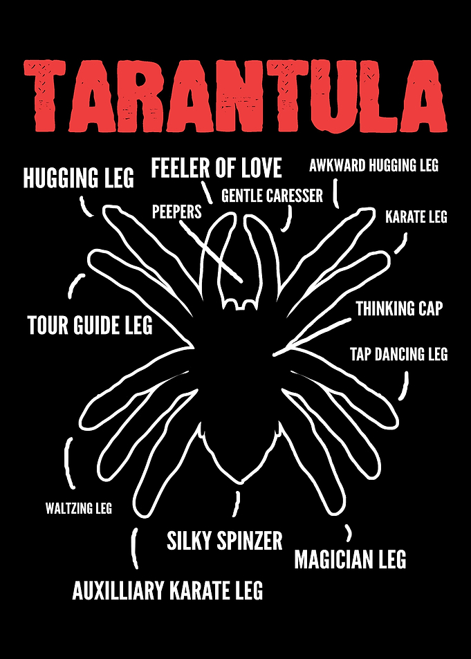 Tarantula Anatomy Pet Love