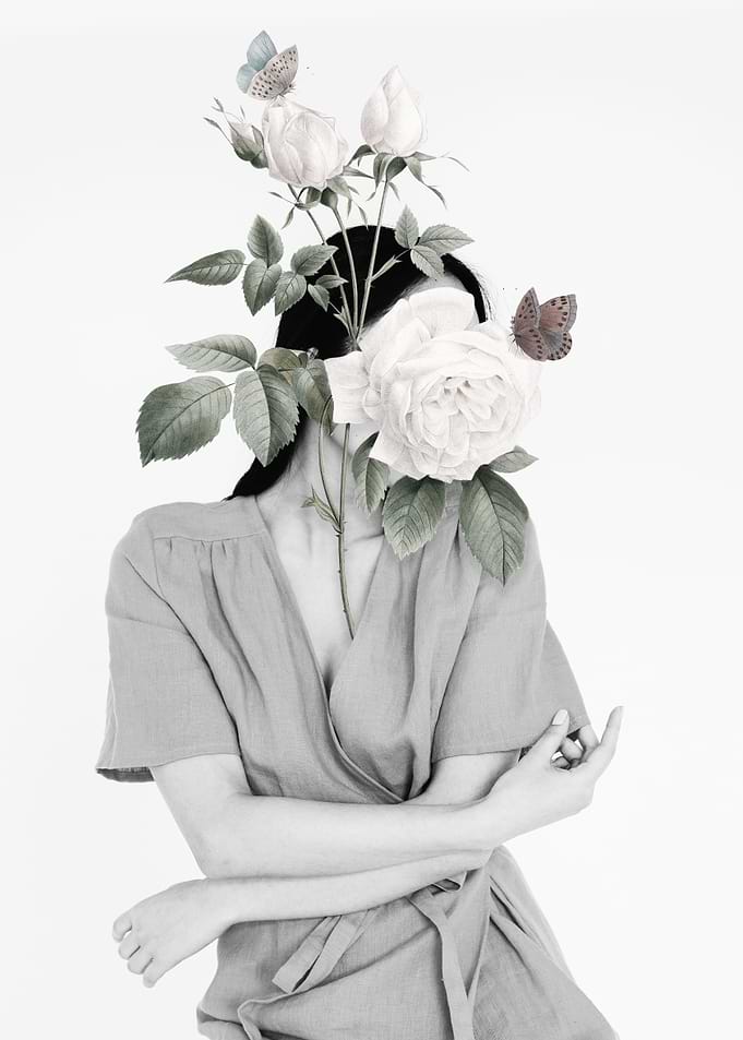 White Rose