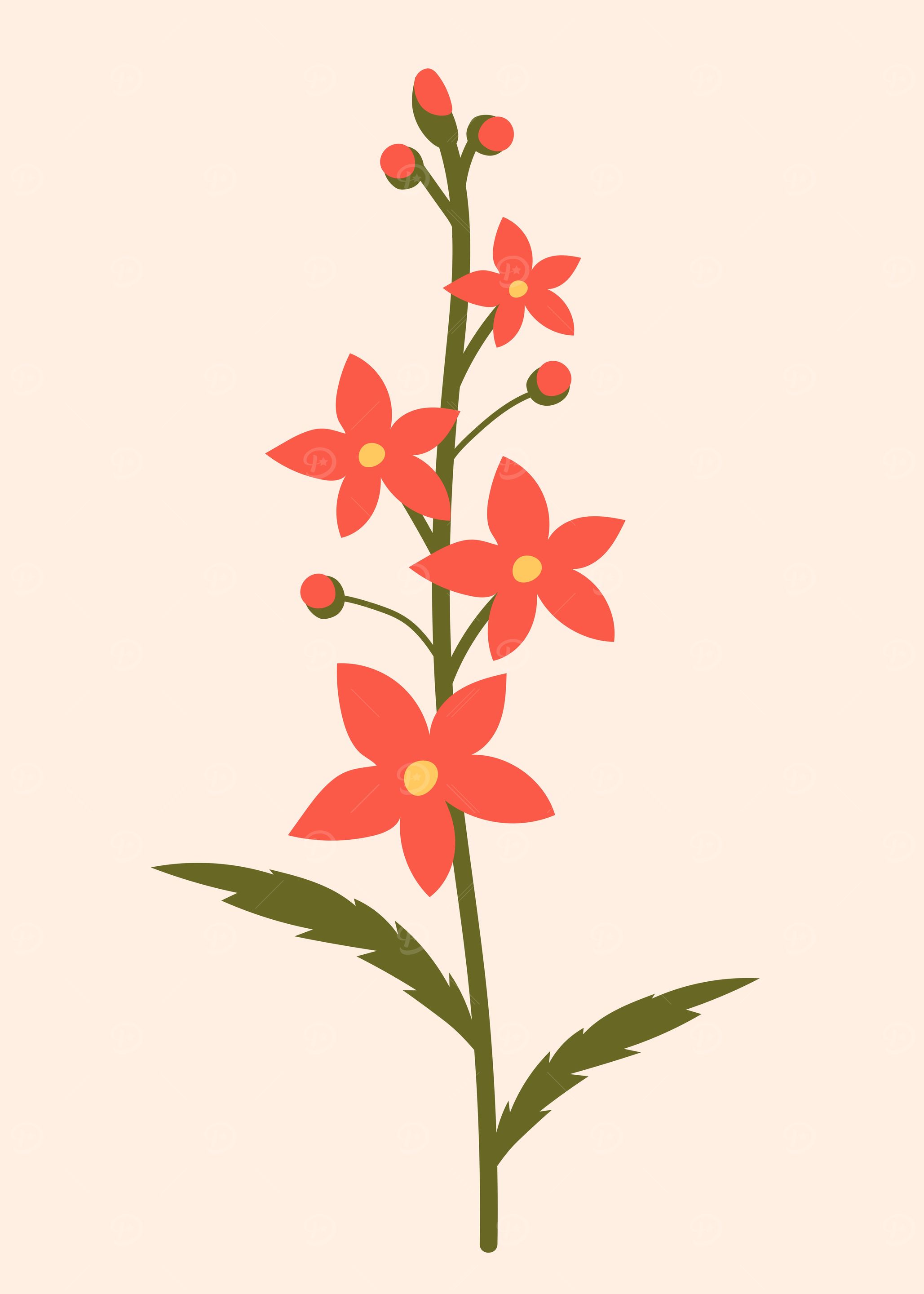 Tropical Botanical plant