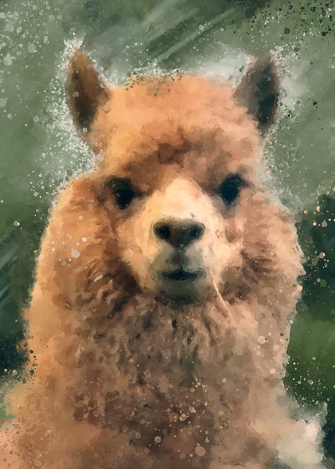Digital Painting of a lama