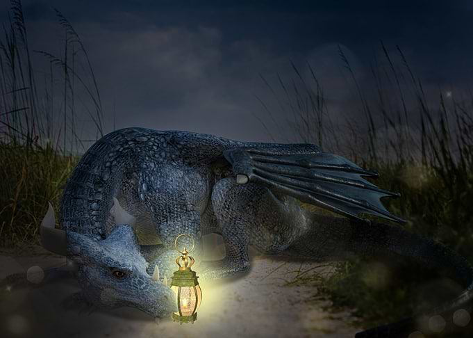 Mystic Animal Pictures