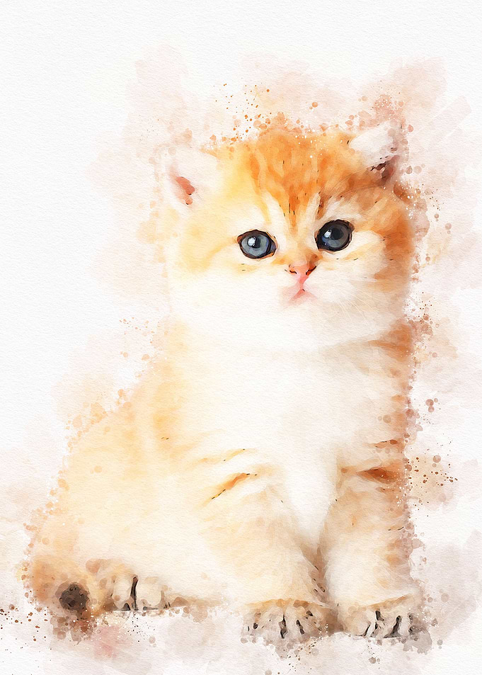 Cute Cat Watercolor