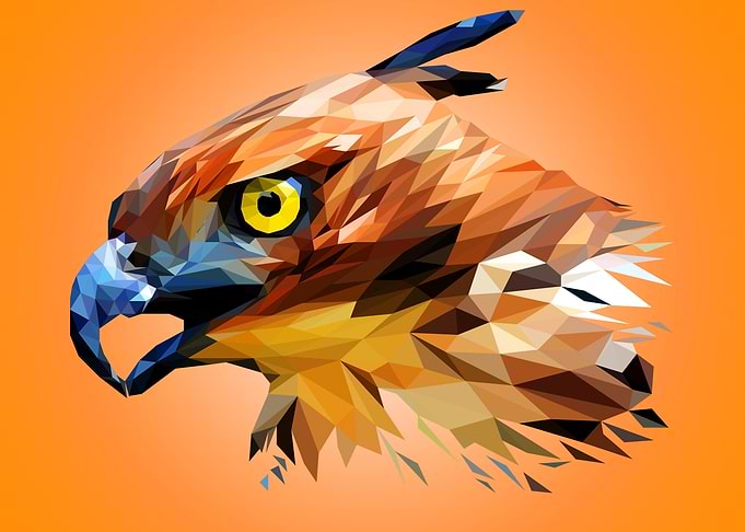 Hawk