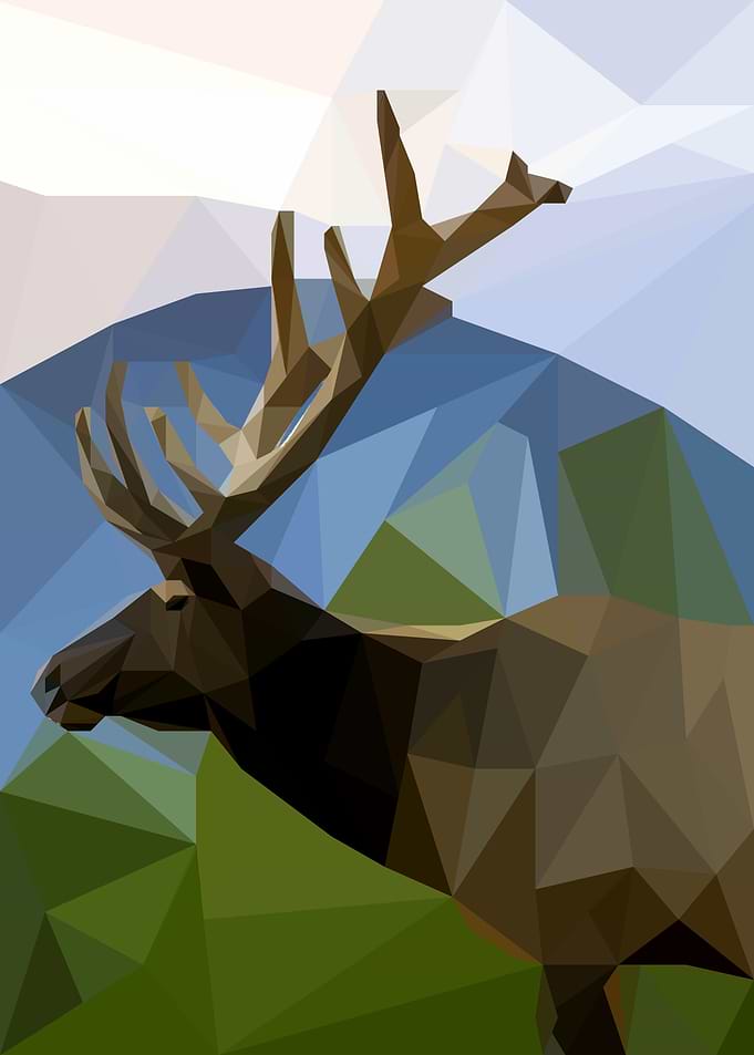 Deer