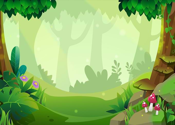 Forest Landscape