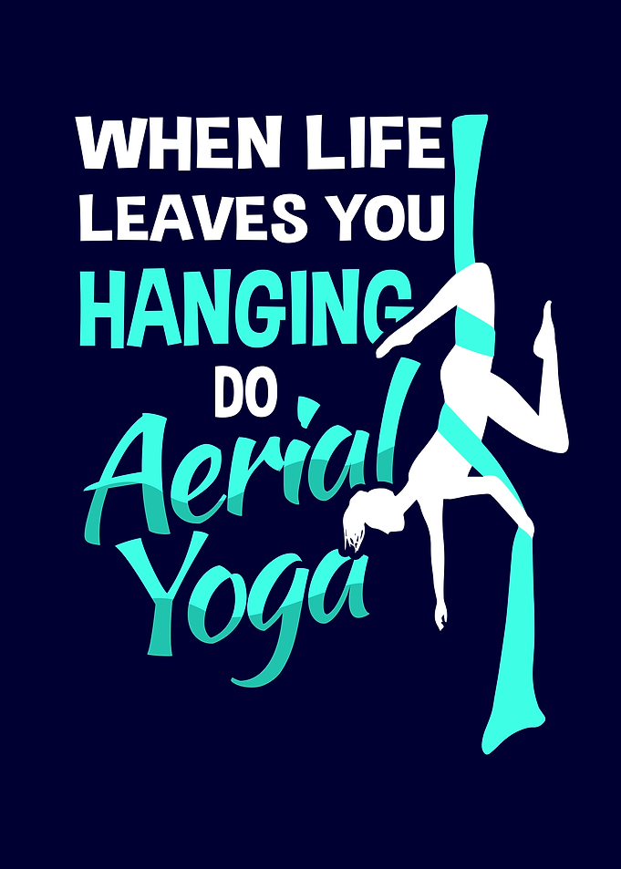 Aerial Silk Aerialist
