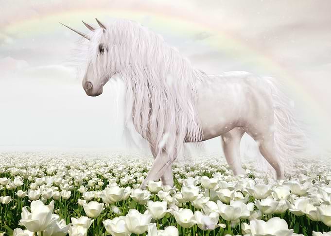 Mystic Animal Pictures