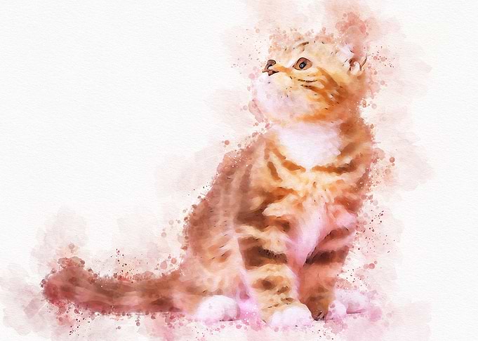 Cute Cat Watercolor