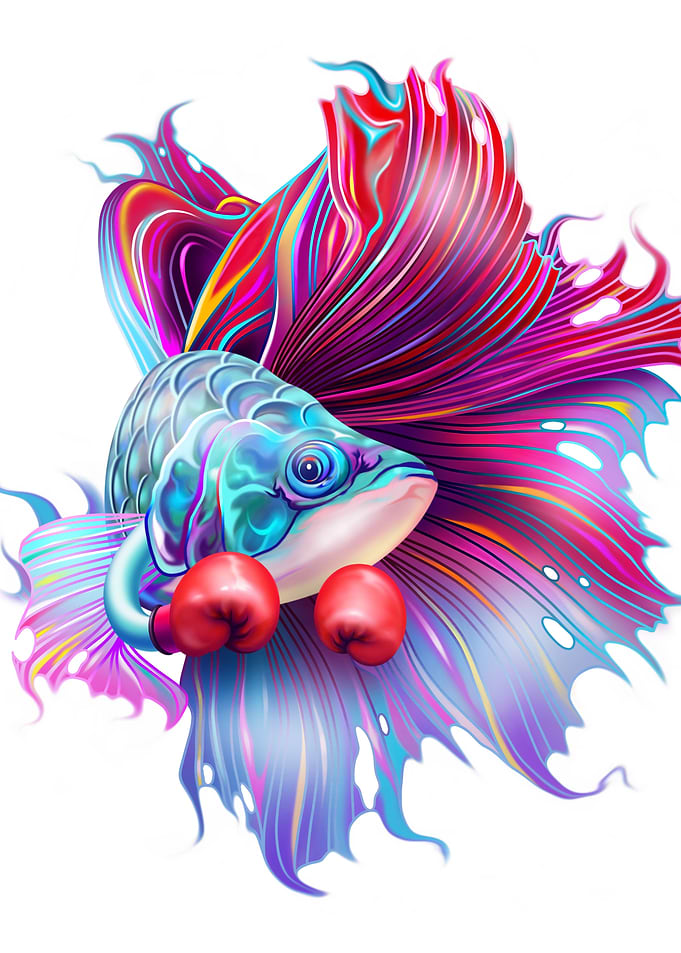FIGHTING FISH