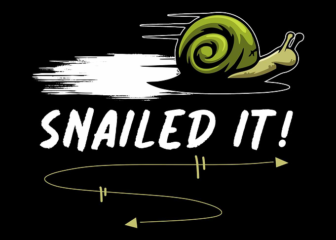 Snail Pun Slow Fast