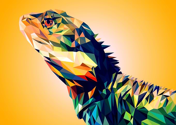 Iguana
