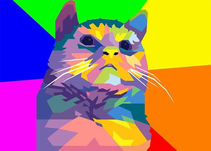 pathetic cat meme