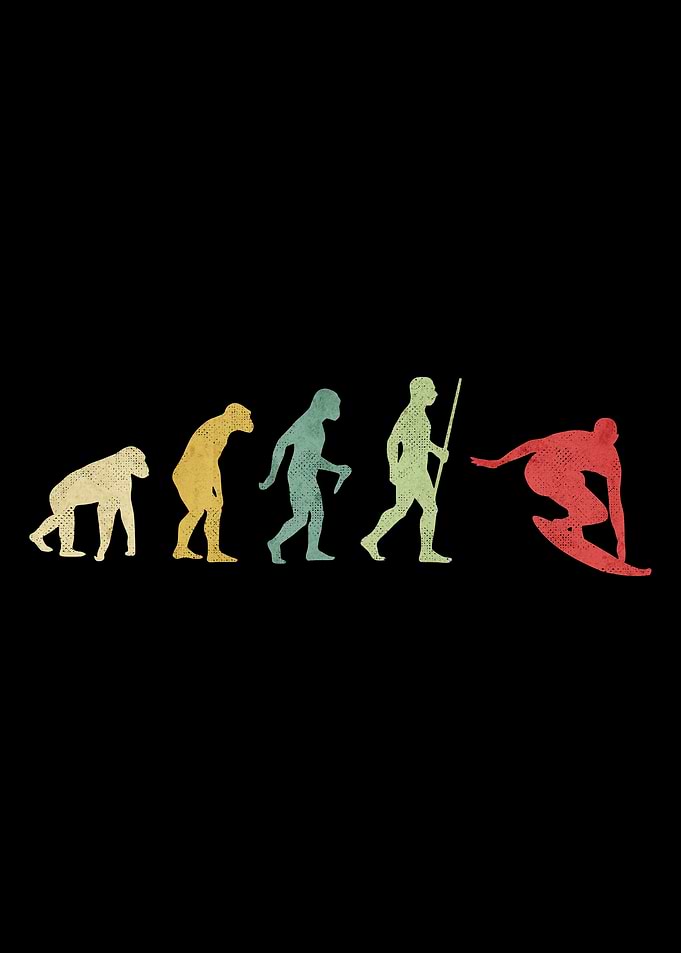 Surfing Wave Evolution