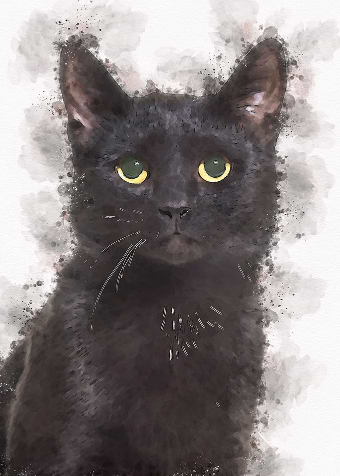 Cute Cat Watercolor