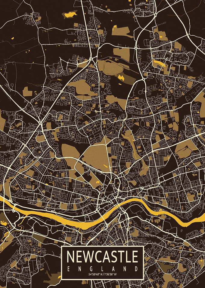 Newcastle City Map Pastel