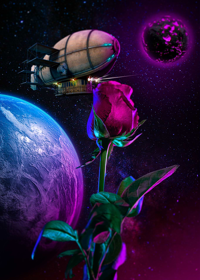 A special rose