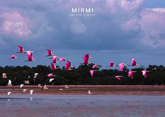 Miami