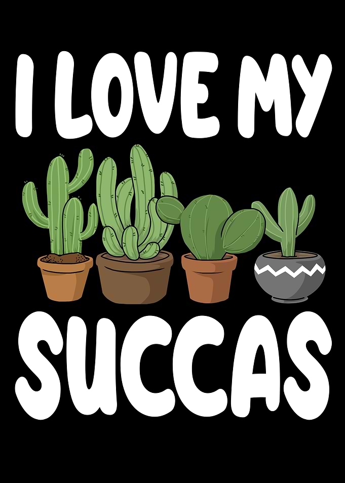 Fun Cactus Gift Succulent
