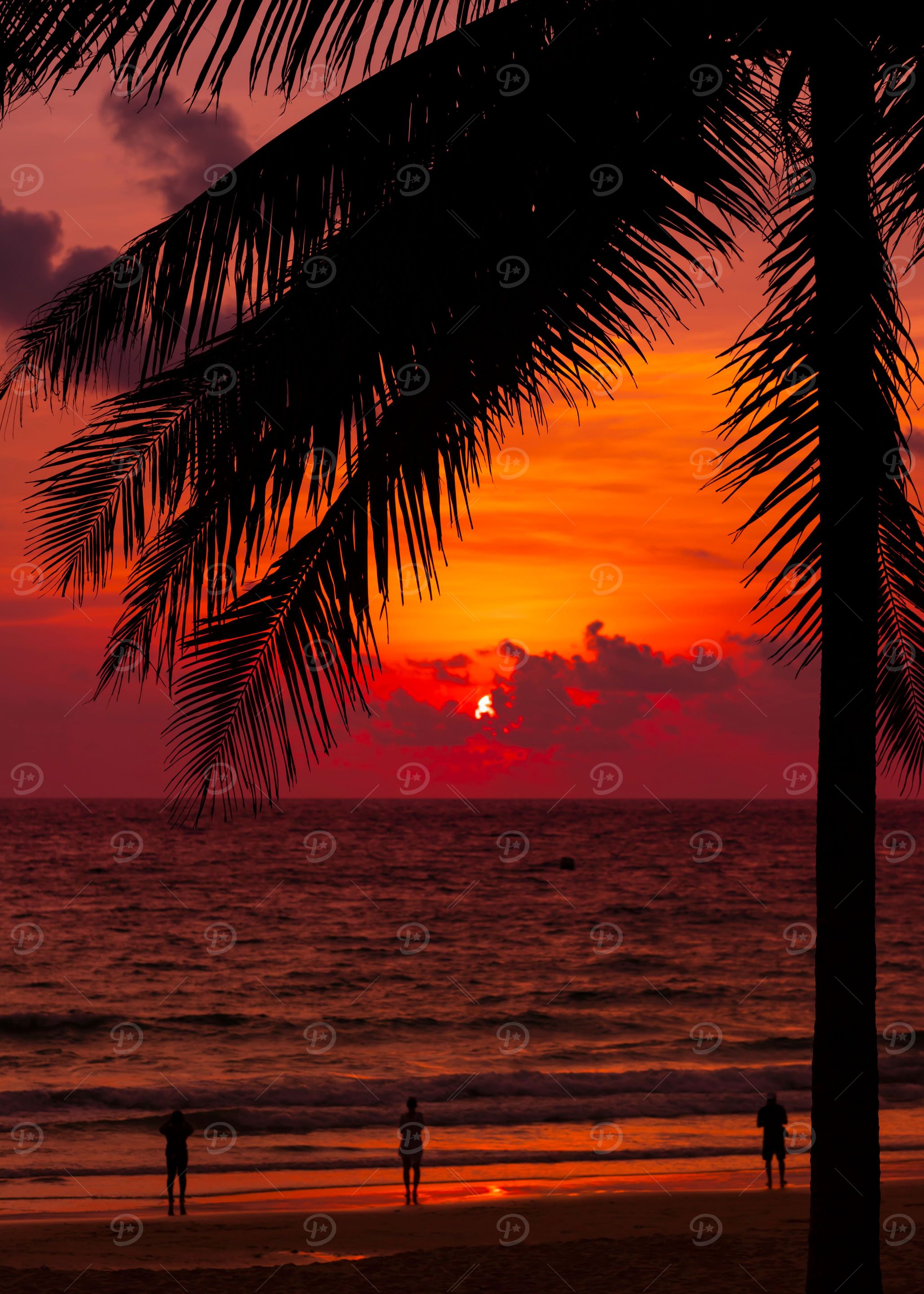 Tropical sunset, Thailand