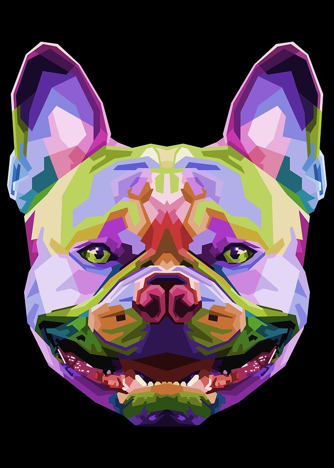 French bulldog