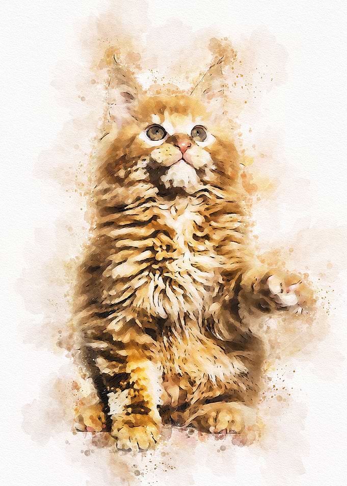 Cute Cat Watercolor