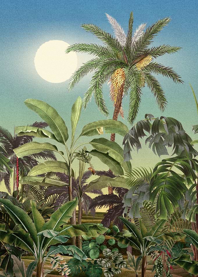 Tropical Jungle