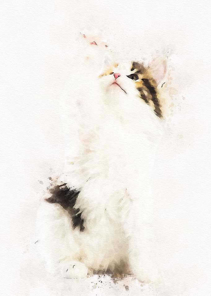 Cute Cat Watercolor