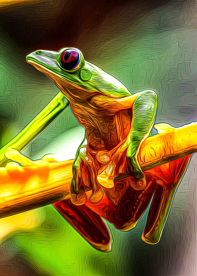Frog
