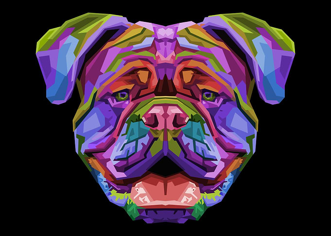 Colorful british bulldog
