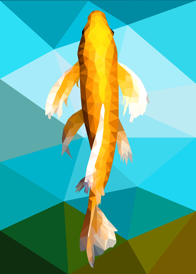Koi Fish