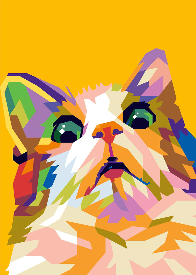 scared cat meme