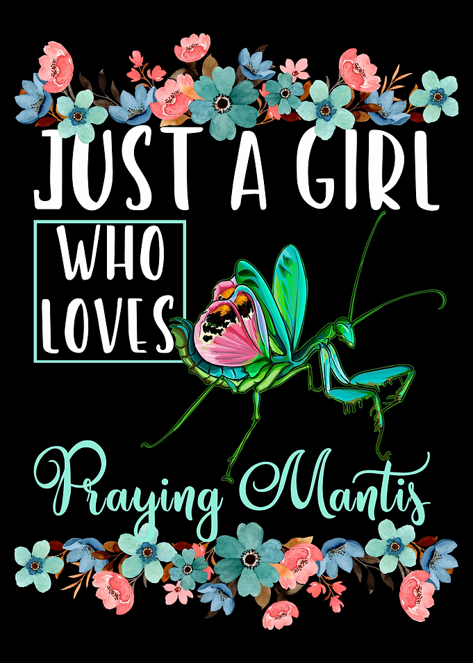 Cute Praying Mantis