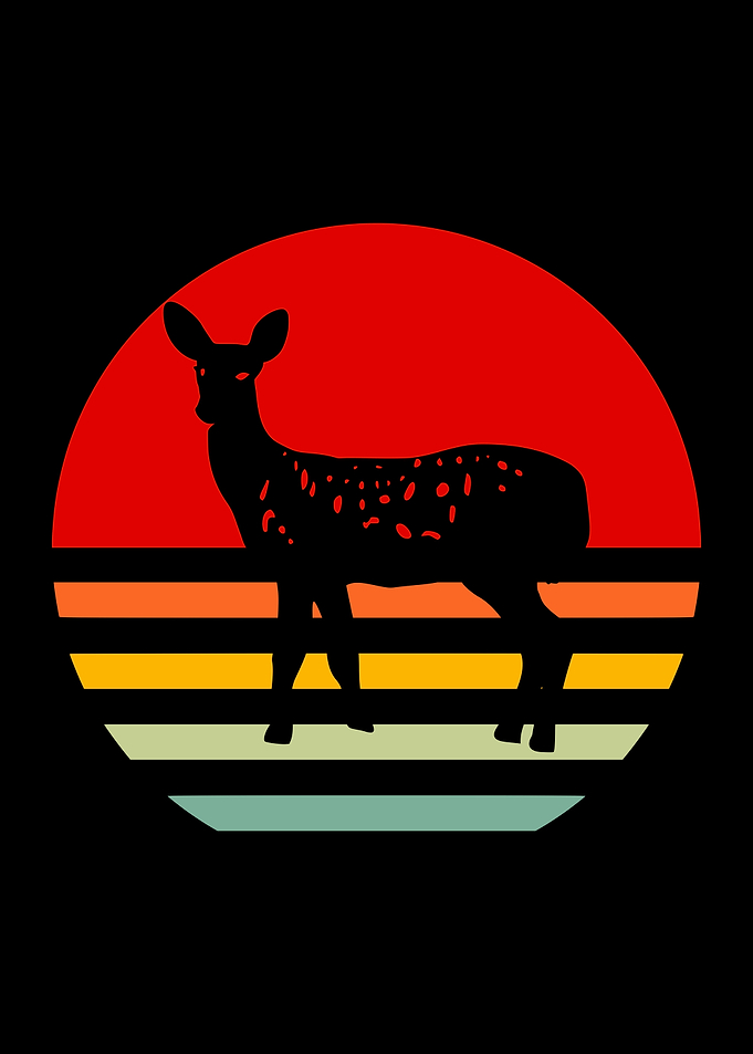 Animal