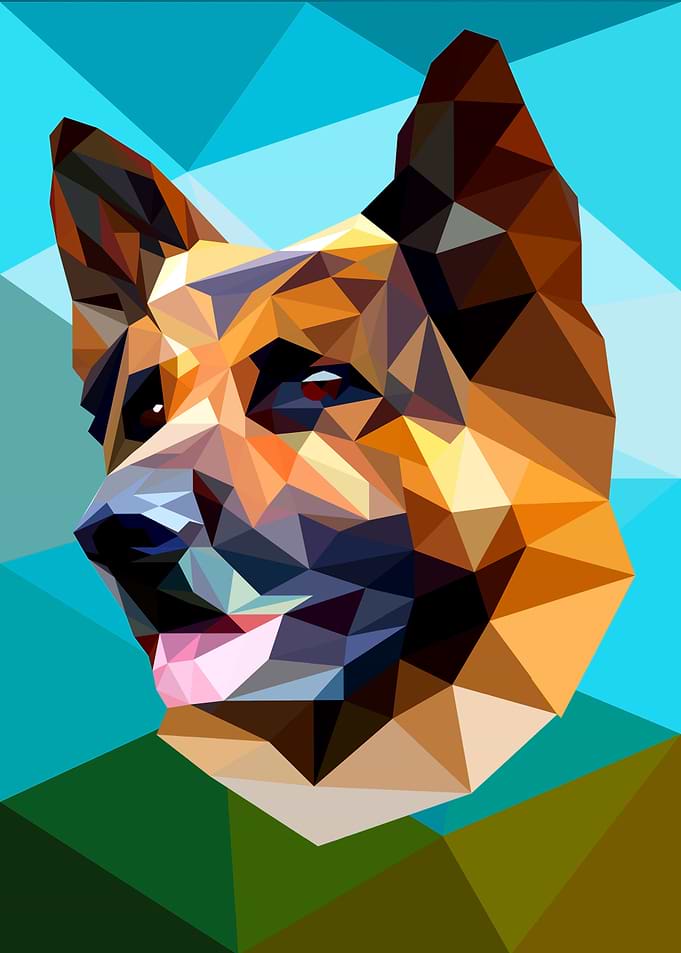 Shepherd