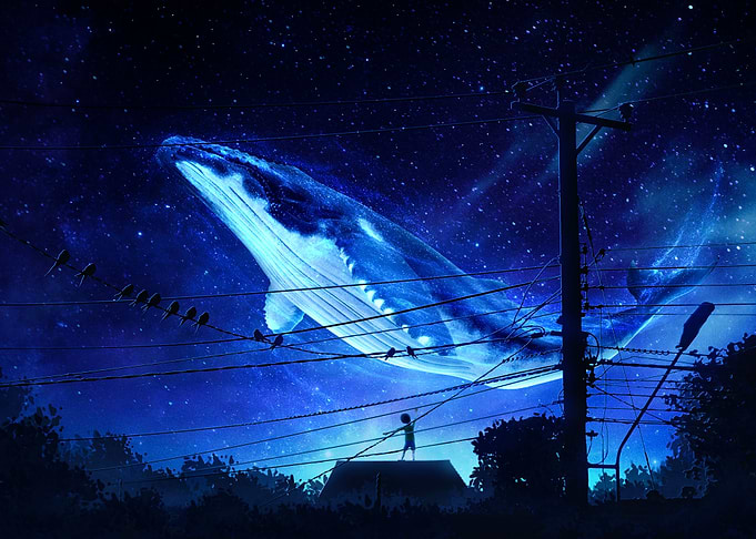 A magical night sky