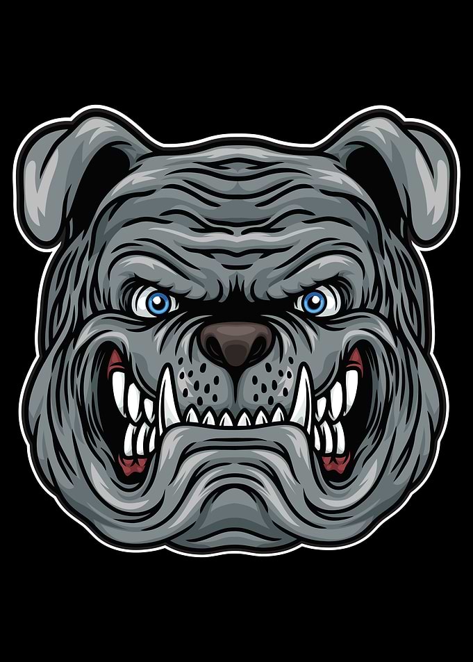 Bulldog Football