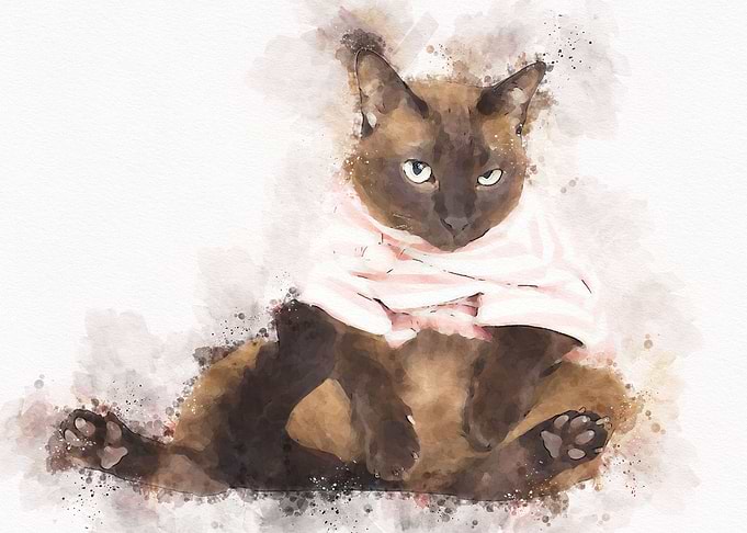 Cute Cat Watercolor