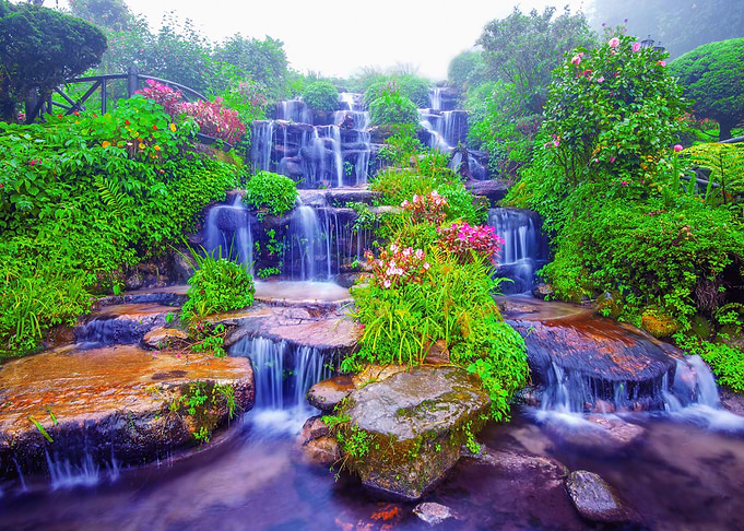 Landscape