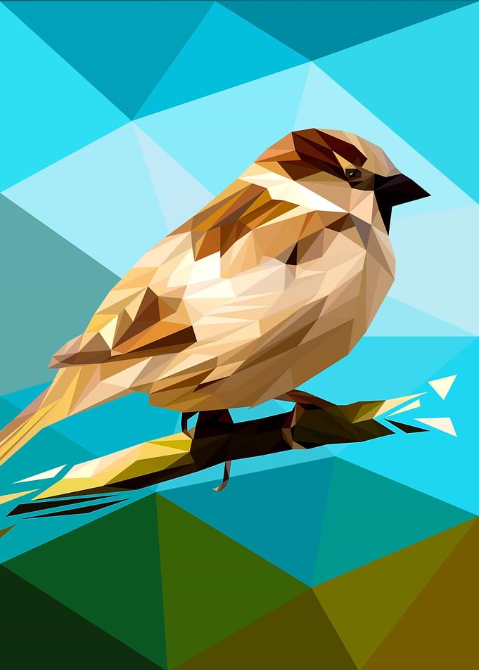 Sparrow