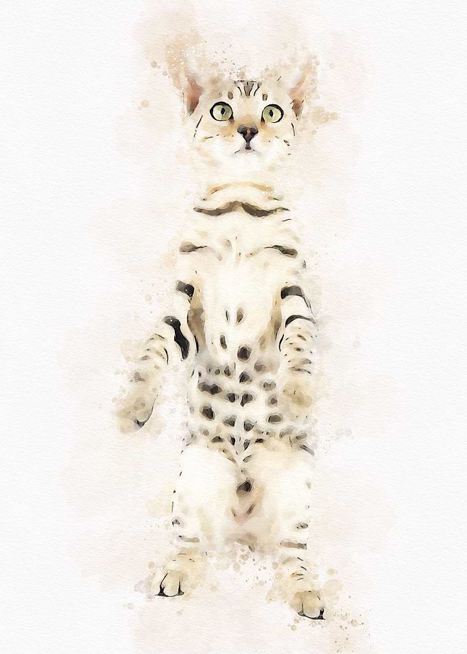 Cute Cat Watercolor