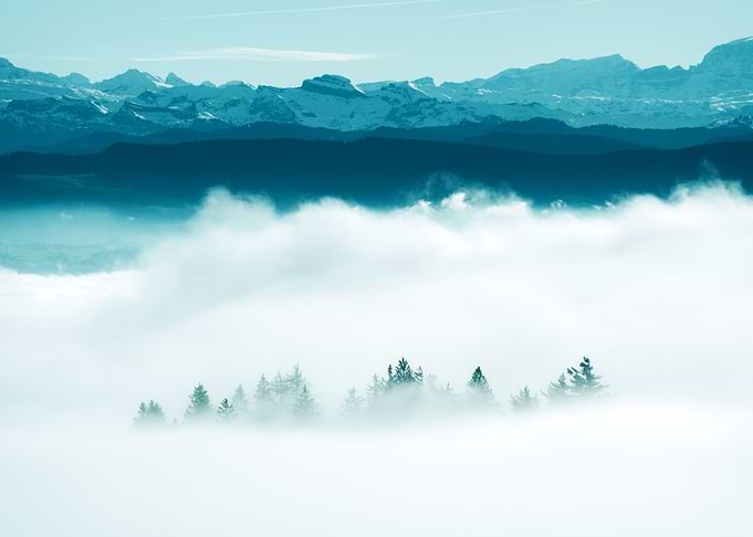 Morning Cold