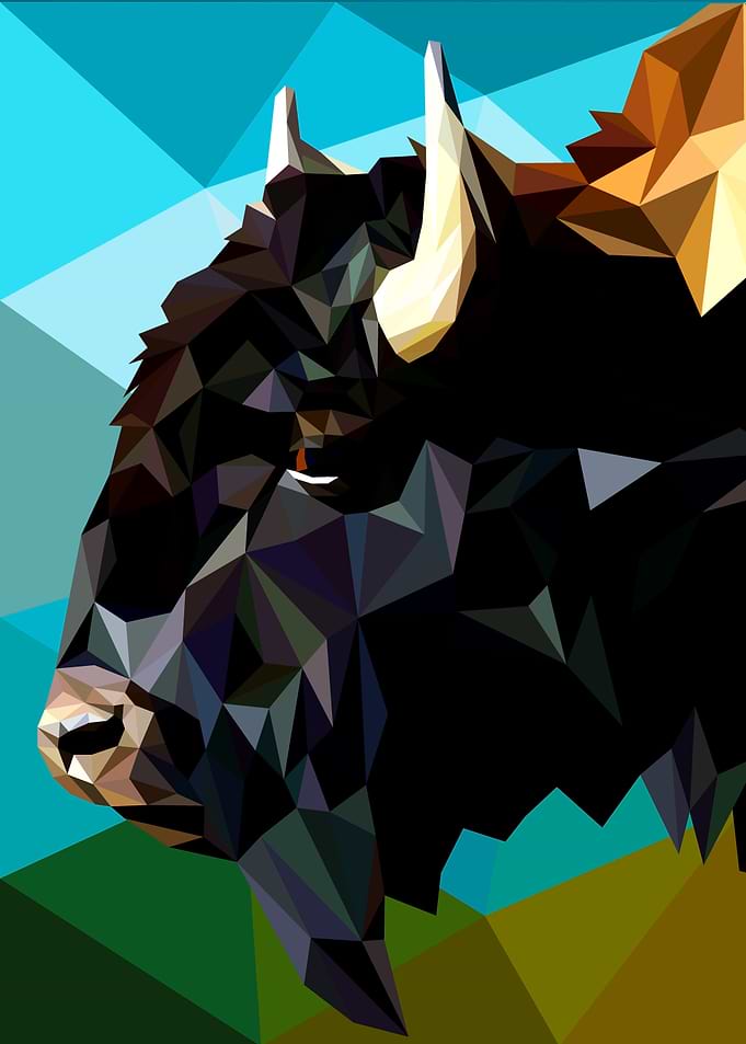 Bison