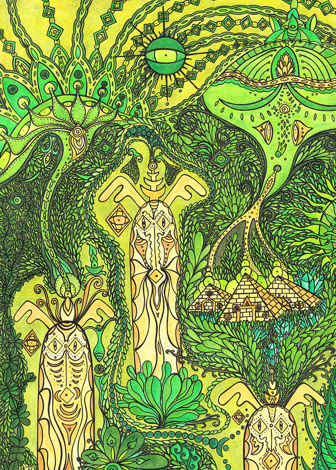 Answers Hide in the Forest