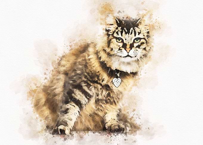 Cute Cat Watercolor