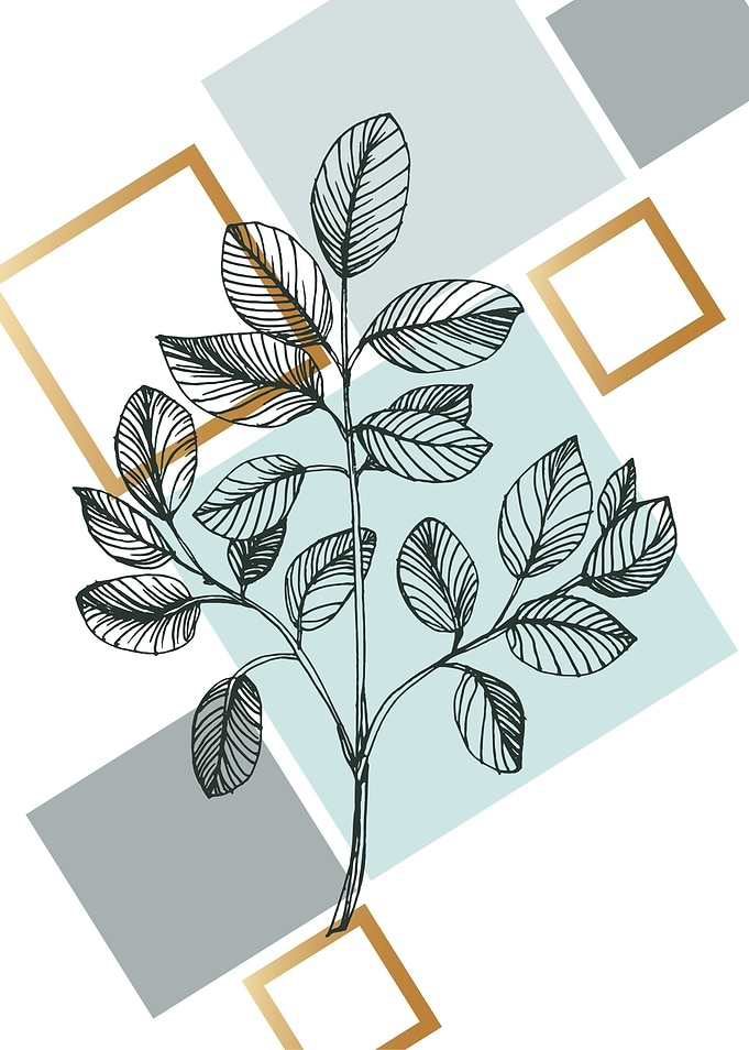 Eucalyptus